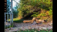 mill-pond-campfire